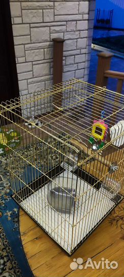 Клетка для попугая. торг уместен