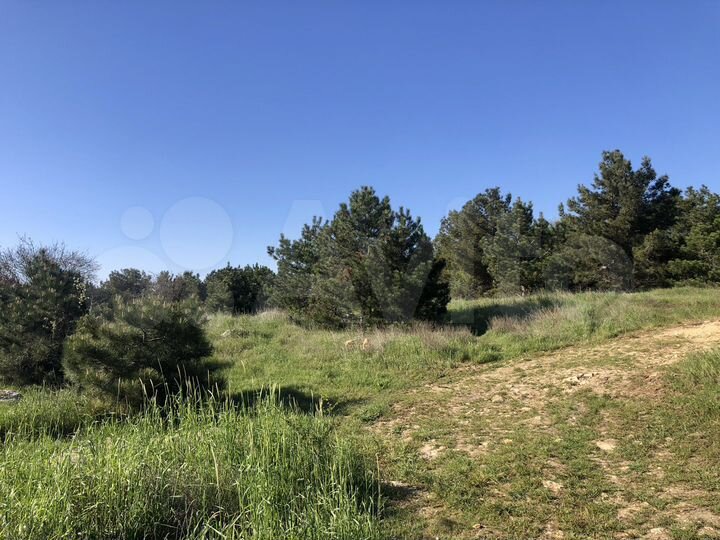 Участок 4 сот. (СНТ, ДНП)