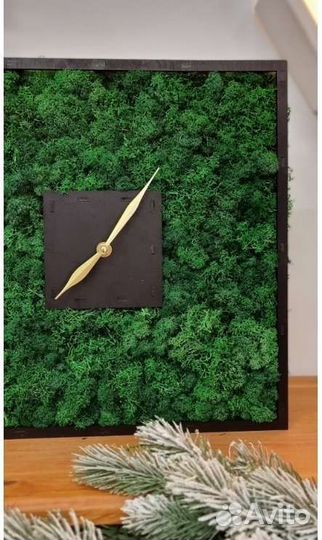 Часы со живым мхом