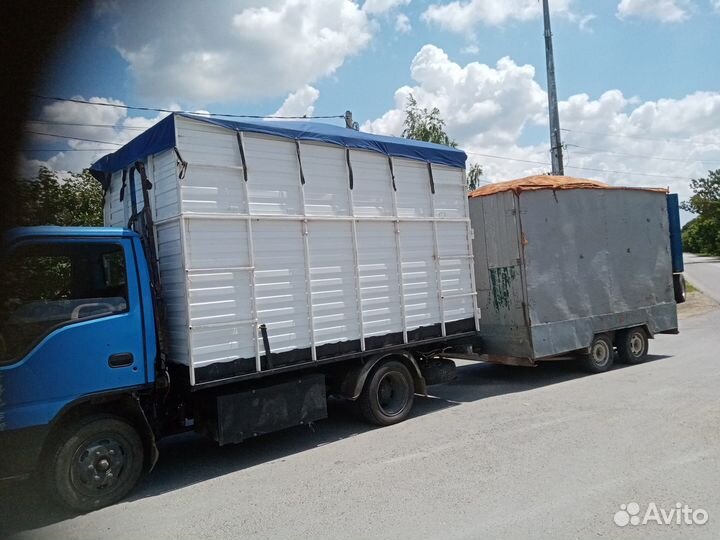 Лузга подсолнечника. Опилки буков. Стружка соснова