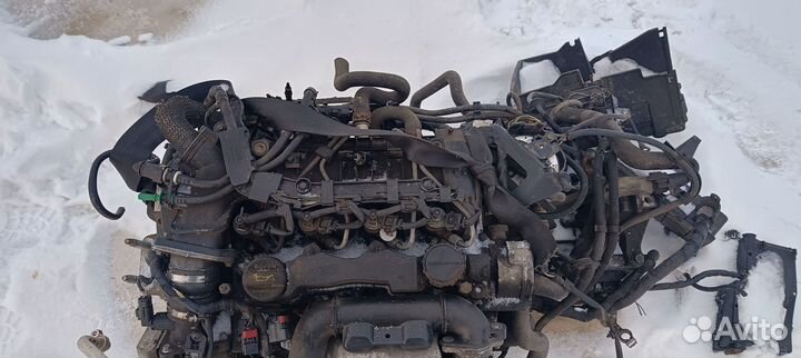 Двигатель в сборе Форд фокус 2 1.6 G8DD