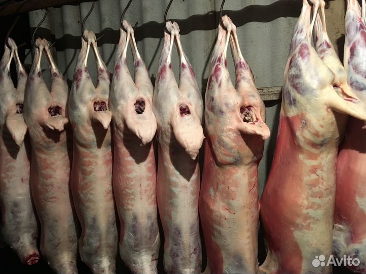 Баранина мясо