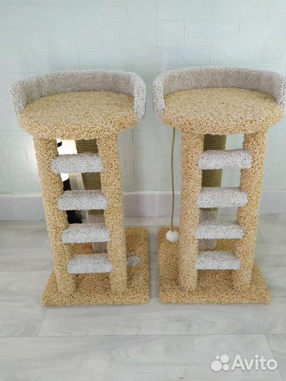 Когтеточка