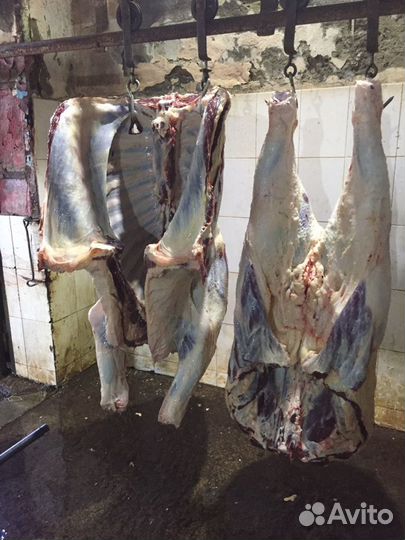 Домашнее мясо свинины