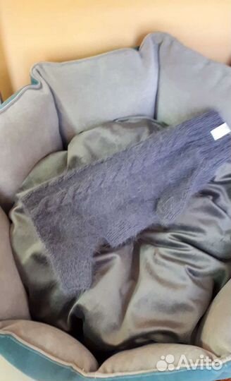 Одежда для собак мелких пород