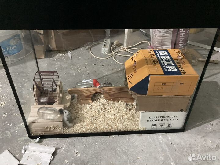 Аквариум для хомяков плюс домик и хомяки