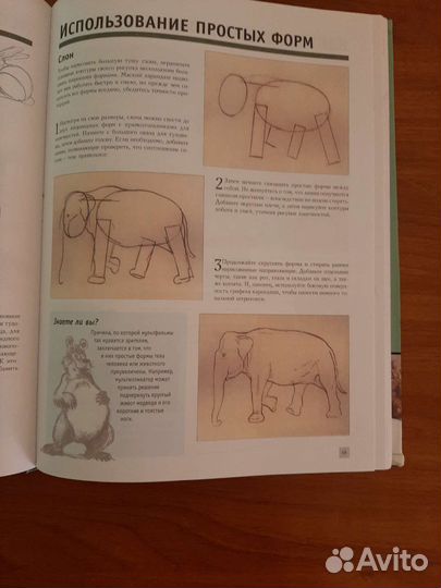 Книга для художников