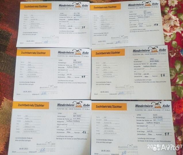 Пчелопакеты Карника и Бакфаст