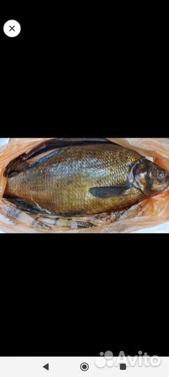 Лещ х/ к, г/ к, скумбрия х/ к, сало х/ к