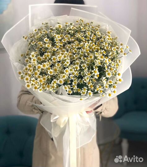 Облачко Ромашек с Доставкой