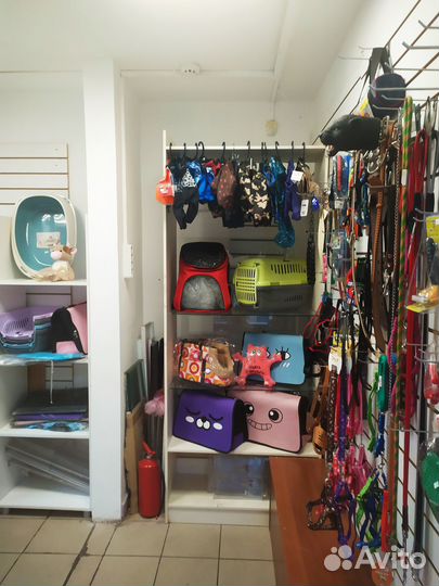 Шлейка, поводок, ошейник, намордник