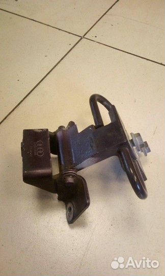 Петля двери задняя левая нижняя