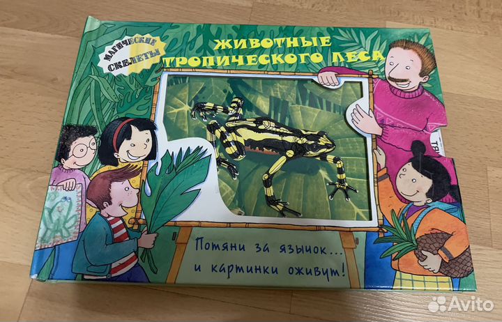 Животные тропического леса