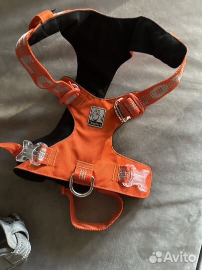 Шлейка для собаки L True Love