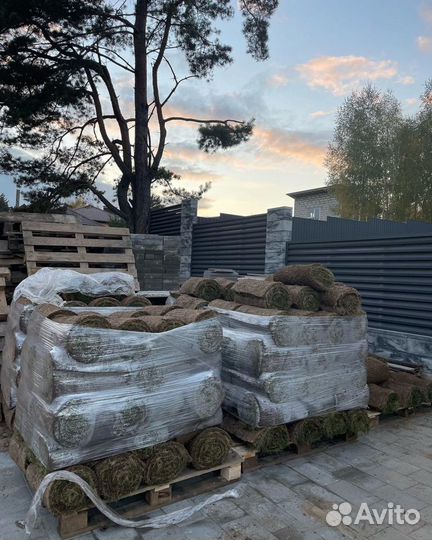 Рулонный газон