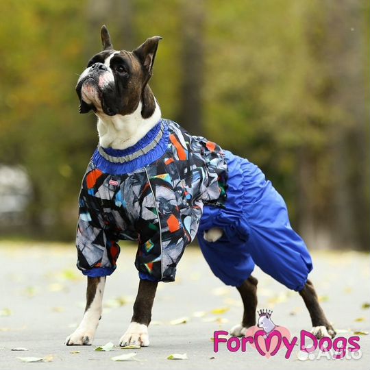 Комбинезоны, курточки, дождевики, для собак