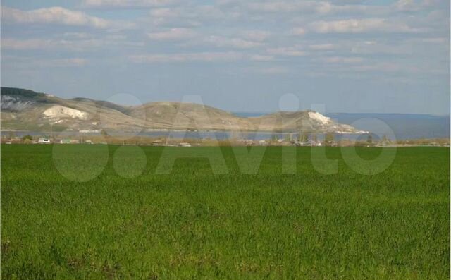 Погода в подвалье самарская область шигонский. Подвалье Шигонский район. Подвалье Шигонский район Самарской. Сельское поселение Подвалье. Село Новодевичье Шигонского района.