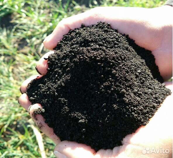 Земля Чернозём