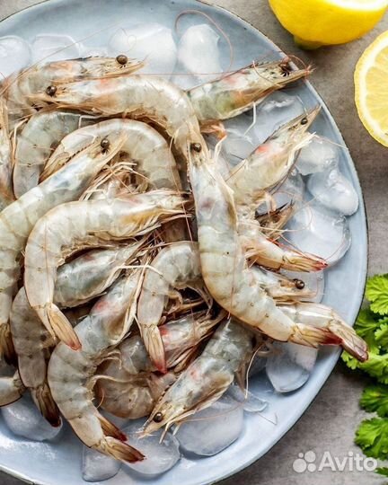 Креветка ваннамей Иран 50/60