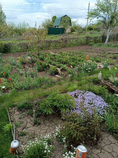 Дача 20 м² на участке 6 сот.