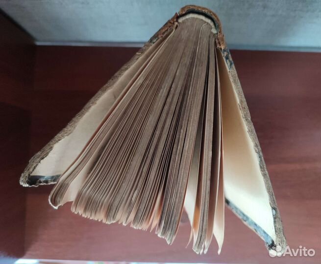 Словарь иностранных слов 1899