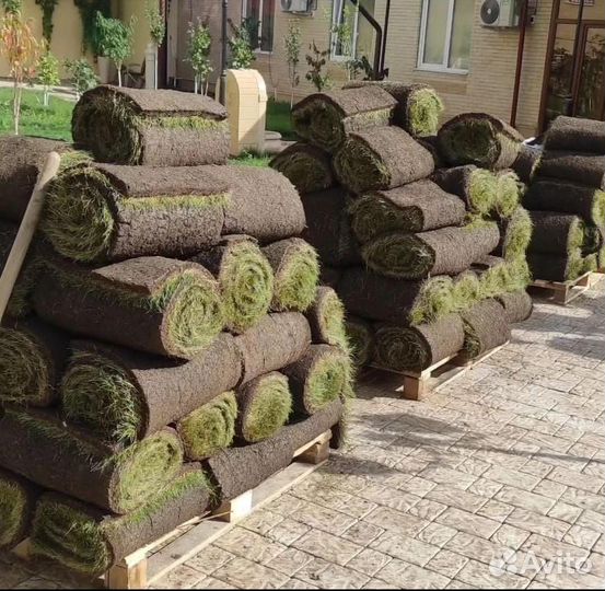 Ландшафтные работы, озеленение