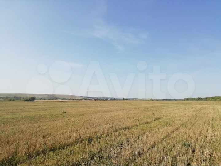 Участок 1,28 га (СНТ, ДНП)