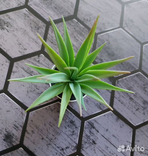 Фотофон для предметной съёмки двусторонний