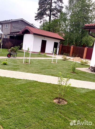 Рулонный газон