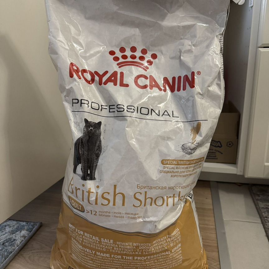 Корм для кошек royal canin british shorthair 10 кг