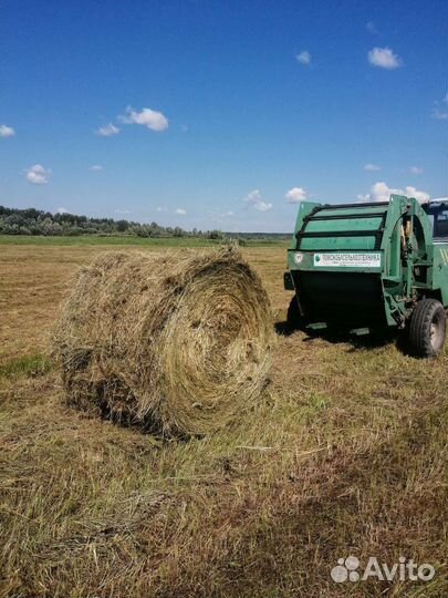Сено в рулонах 2023 уборки. Доставка