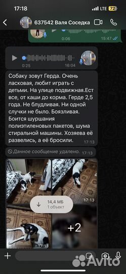 Собака в добрые руки отдам бесплатно