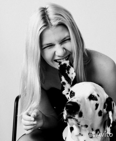 Портретный фотограф, анималист