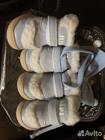 Ботинки для маленьких собак