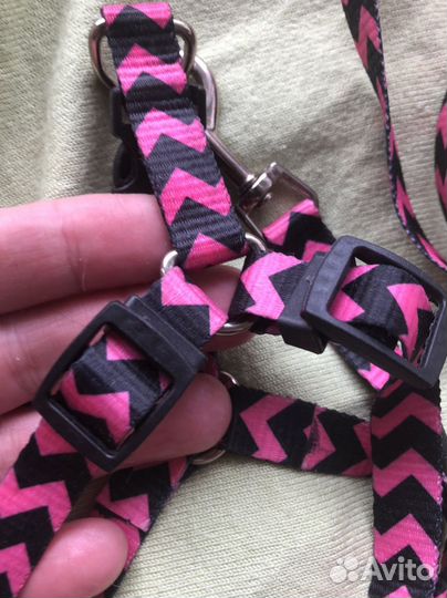 Шлейка с поводком, ошейники