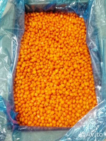 Облепиха, клубника, смородина