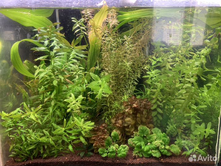 Аквариум в сборе