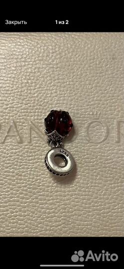 Божья коровка