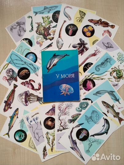 Открытки с морскими животными, винтаж