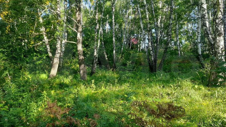 Участок 10 сот. (СНТ, ДНП)