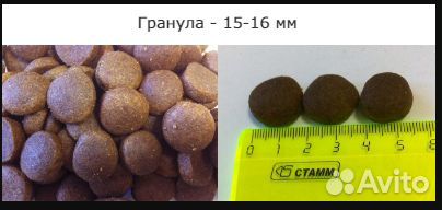 Zooring (зооринг) active DOG MAX