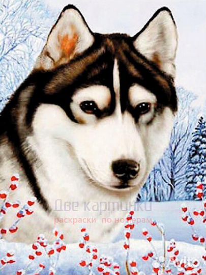 Алмазная мозаика 40x50 Пёс в зимней