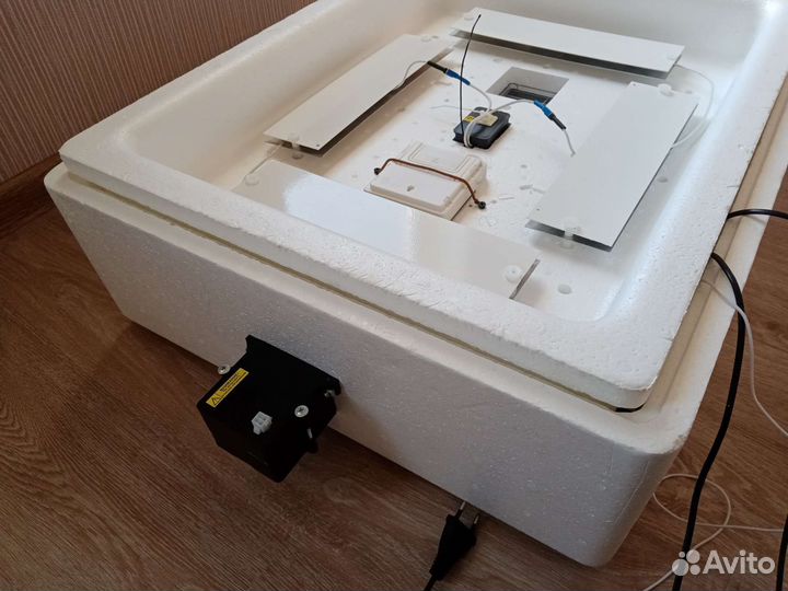 Инкубатор несушка