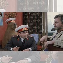 Капибара на фото, Обнинск