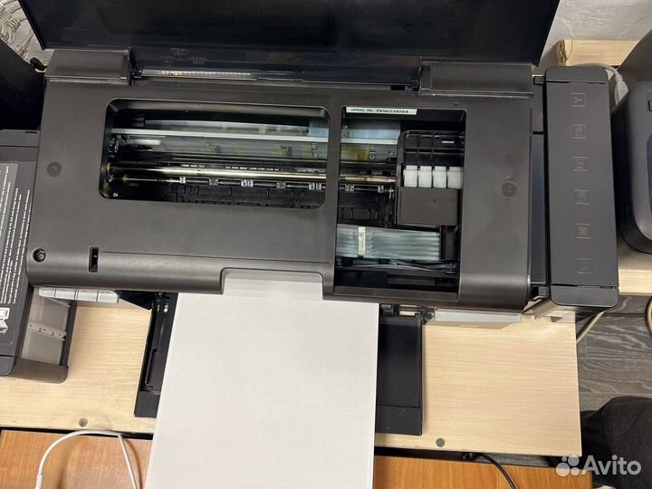 Принтер epson l800