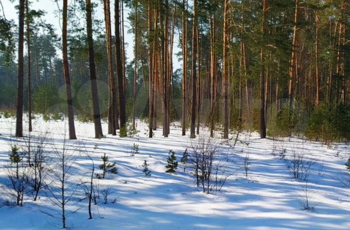 Участок 9,6 сот. (ИЖС)