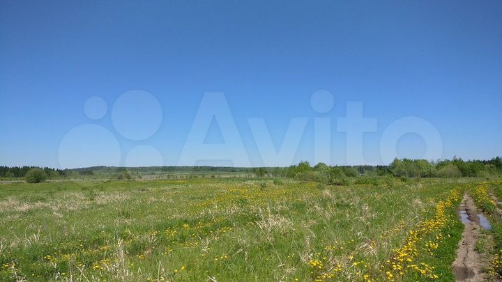 Участок 4,4 га (СНТ, ДНП)