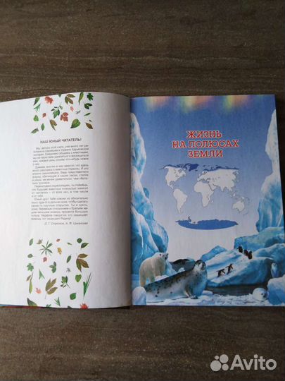 Иллюстрированный энциклопедия животных