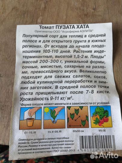 Рассада помидор