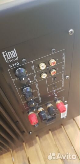 Final sound 300i +final sound SAB S110